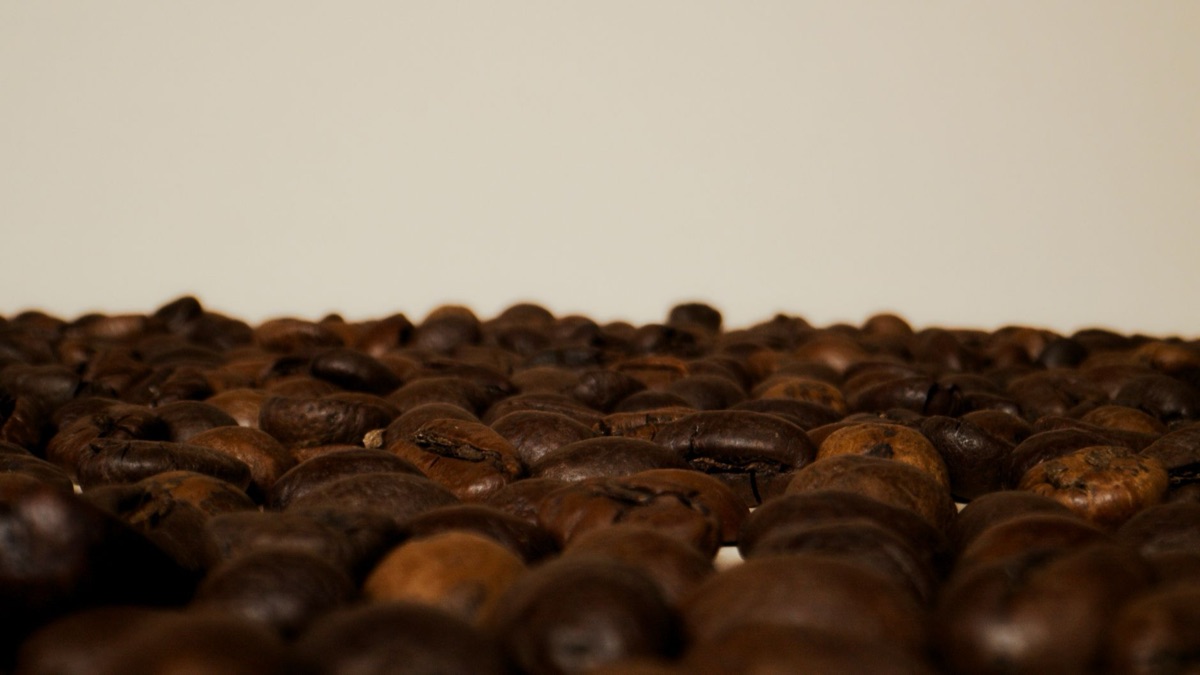 Gros plan sur la texture uniforme des grains de café moulus