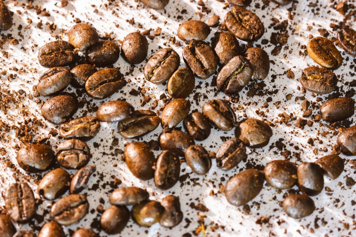 Textura de café moído com granulometria uniforme