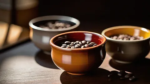 産地で選ぶコーヒーの種類｜エチオピア・イエメン・コロンビアの個性
