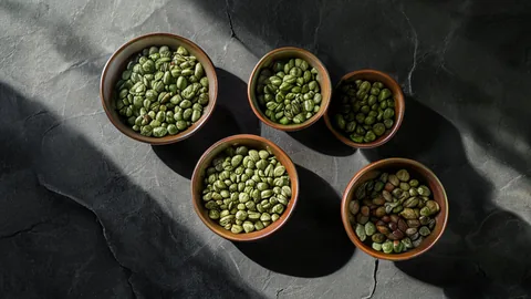 Variedades de Café: Geisha, Bourbon, Typica e SL28