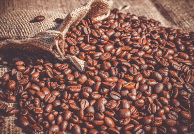 Guide Torréfaction : Atteindre le Premier Crack à 196°C