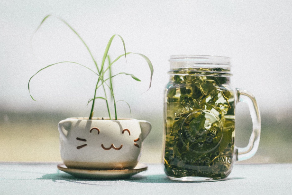 Herbal tea leaves in glass jar