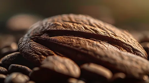 Arabica vs Robusta: 2 Coffee Beans Compared for Your Brew