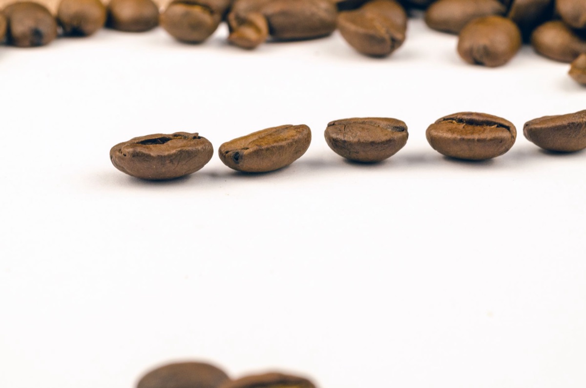 Arabica and Robusta coffee beans compared
