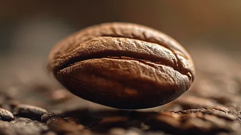 Arabica vs Robusta: 2 Chicchi per il Tuo Caffè Perfetto