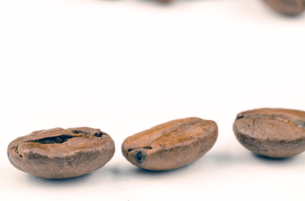 arabica e robusta caffè beans side by side