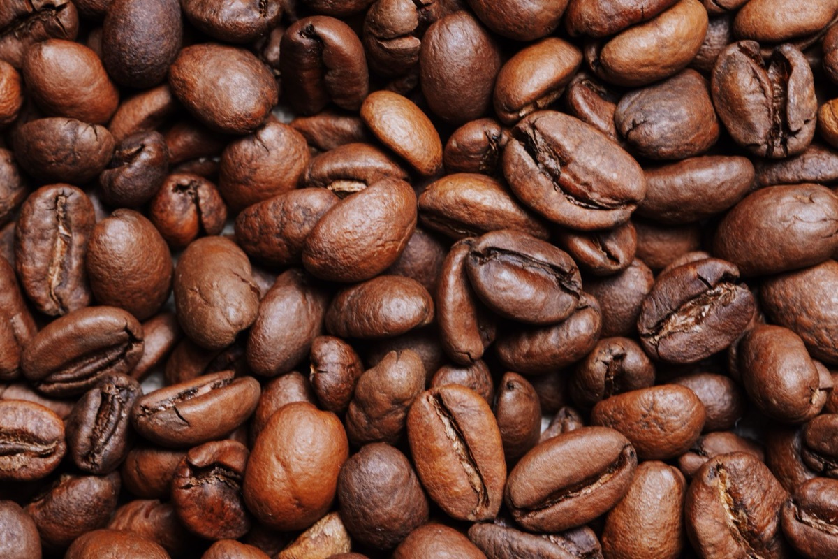 coffee bean classification chart with arabica and robusta