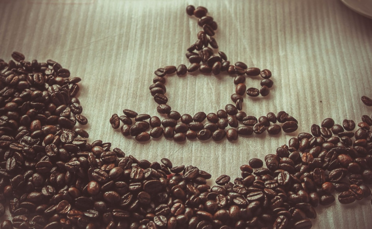 feijão arabica e feijão robusta