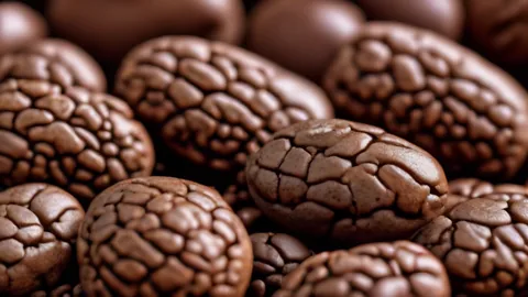Arabica vs Robusta: 5 Key Differences for Your Coffee
