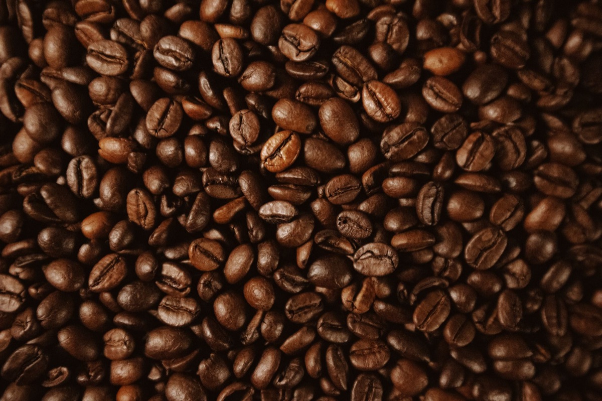 Características de la semilla de café arabica