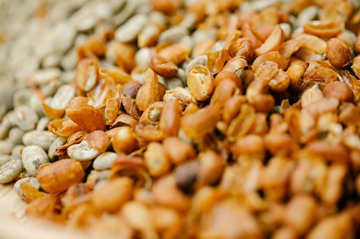 arabica et robusta café grains side by side