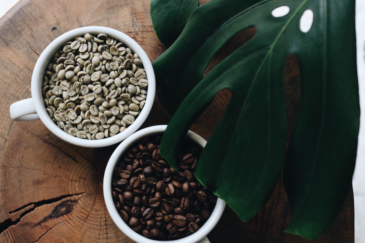 café grains classification chart with arabica and robusta