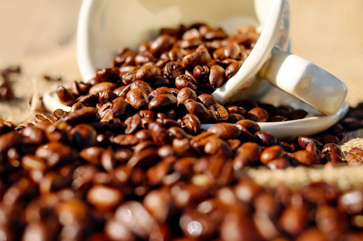 coffee bean classification chart