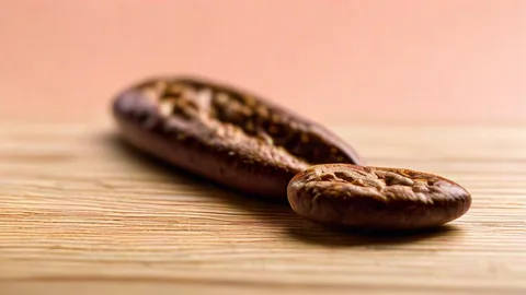 Arabica vs Robusta: 5 Sleutelverschillen voor Uw Koffie