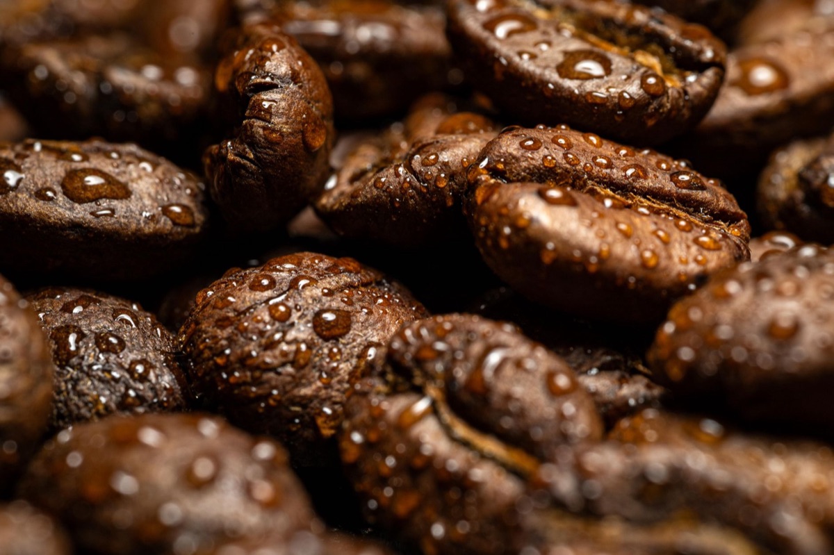 detalhe de características de grãos de café