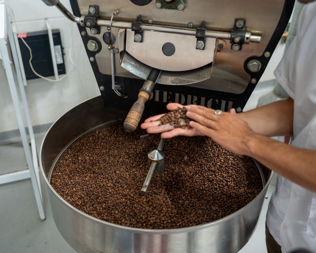 machine de transformation des grains de café
