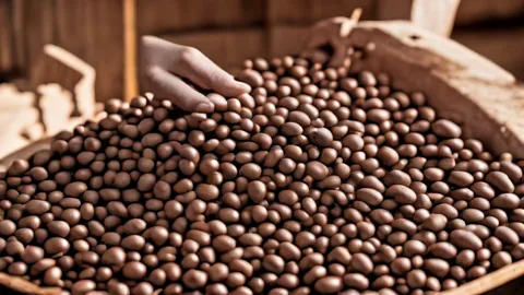 Caffè Specialty: Raggiungere 80+ Controllando Umidità e Aroma