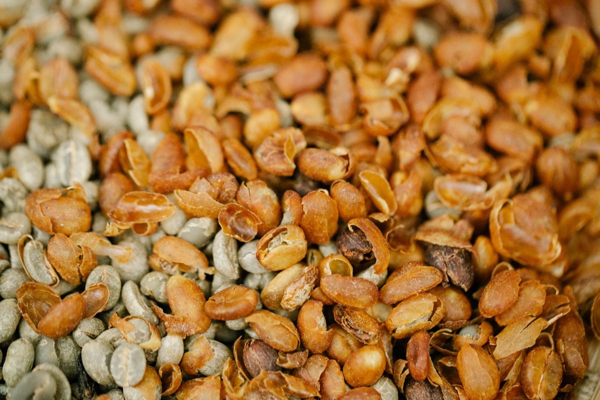 Una foto di un bean di caffè in processo di lavorazione naturale