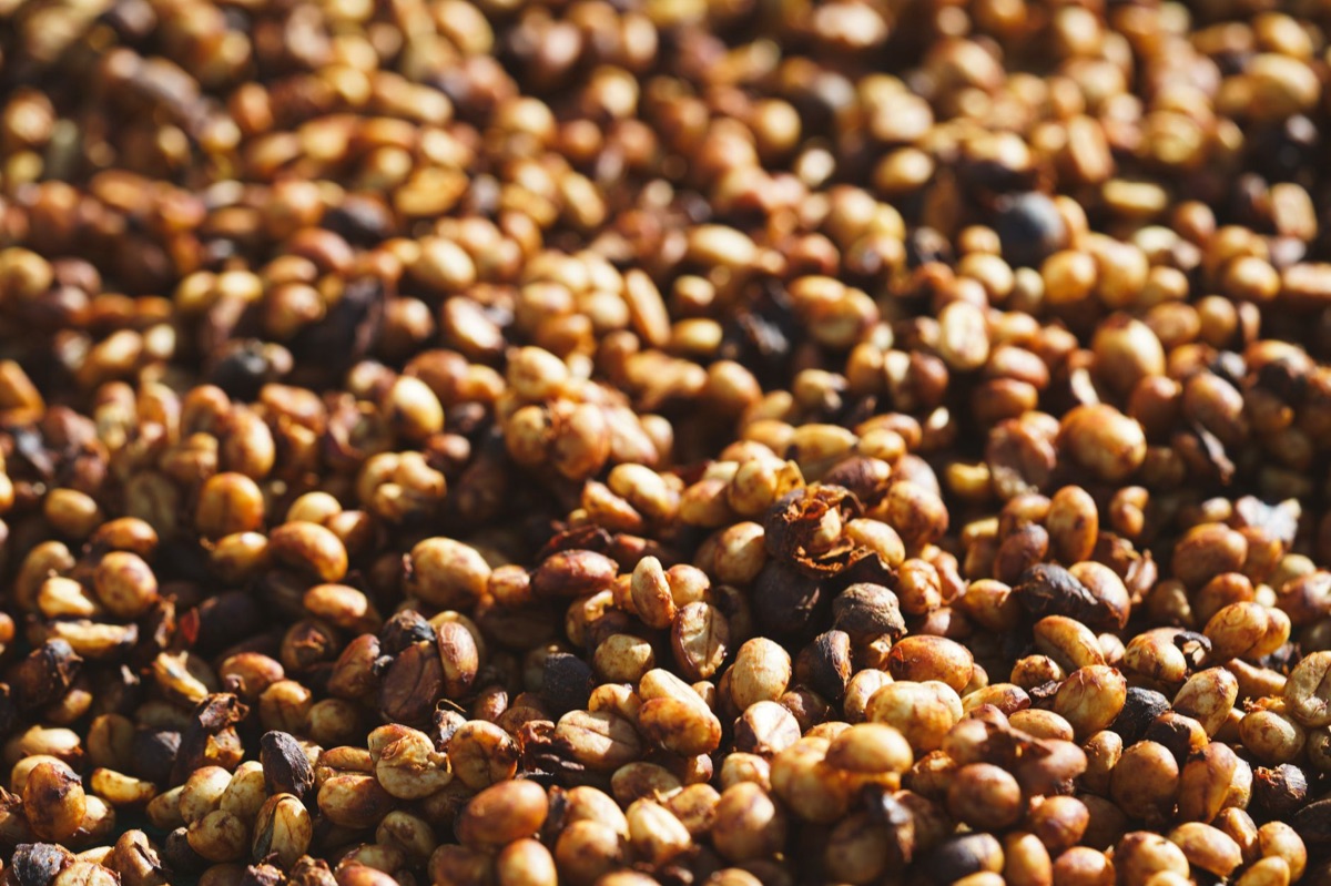 natuurlijke verwerking van café bean