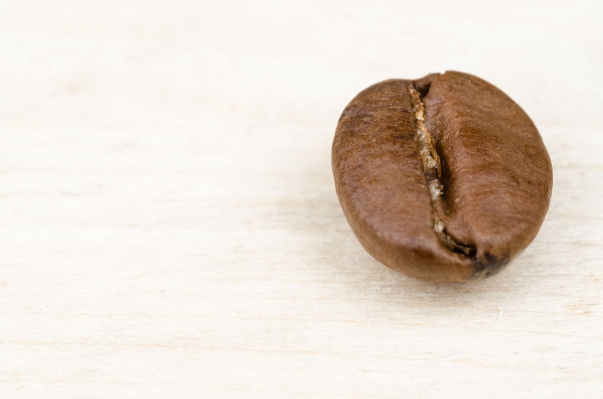 grão de café e proporção de água