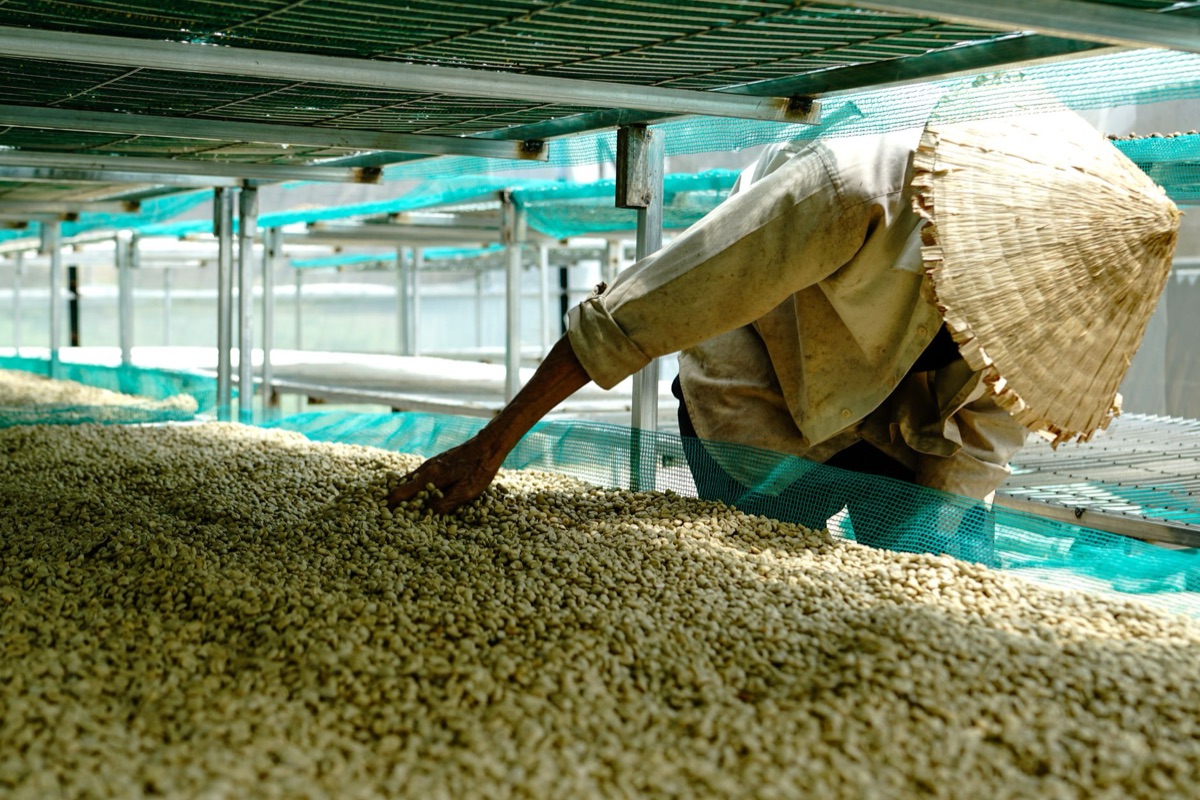 Peru Coffee Bean Processing