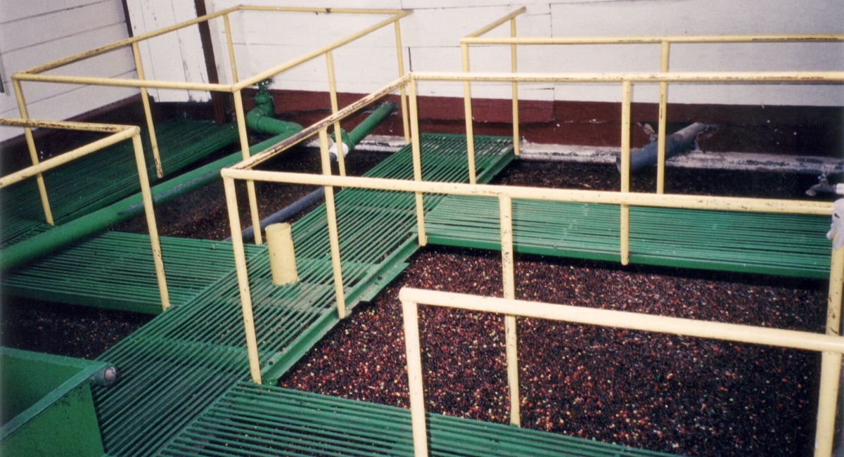 coffee processing method in a controlled environment with beans and tools