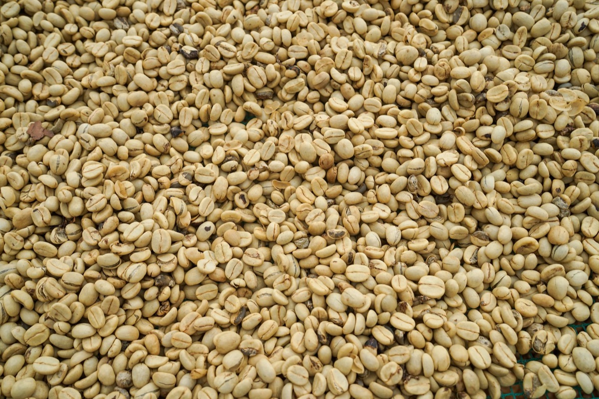 feijão de Peru