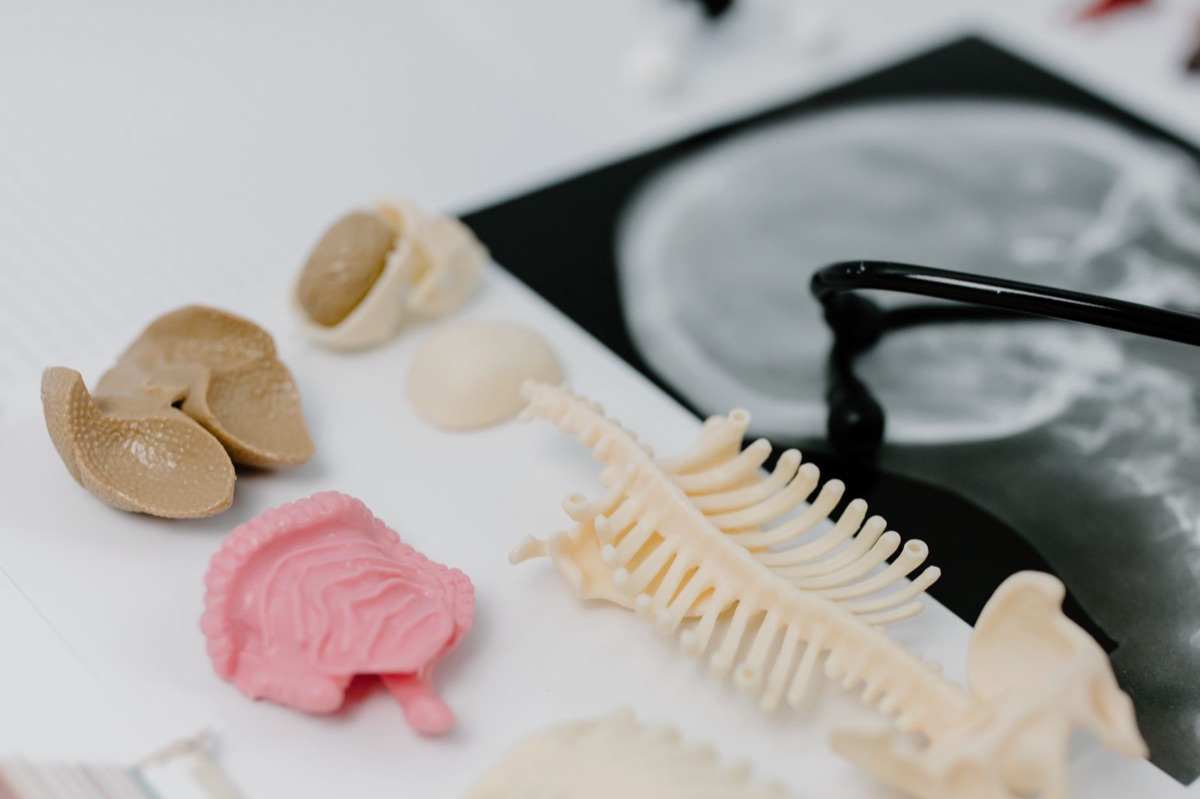 corpo umano con cambiamenti fisiologici