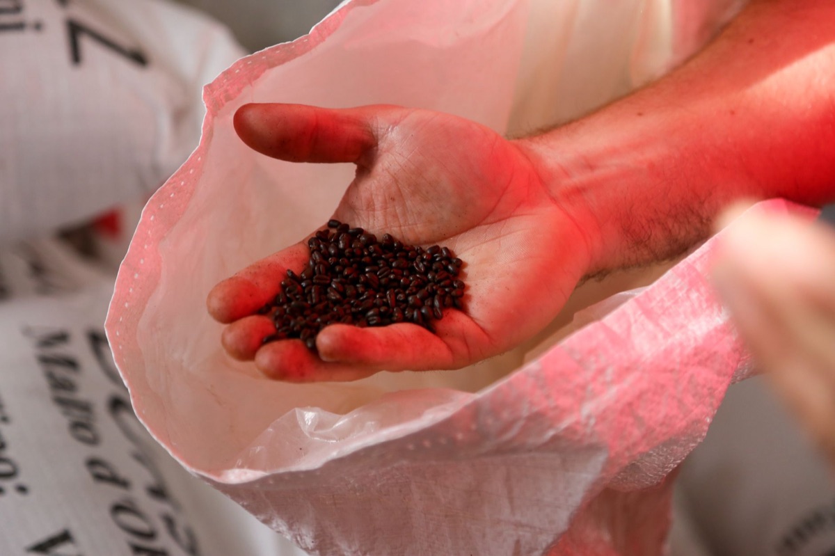 Sachet de café de spécialité avec des grains torréfiés