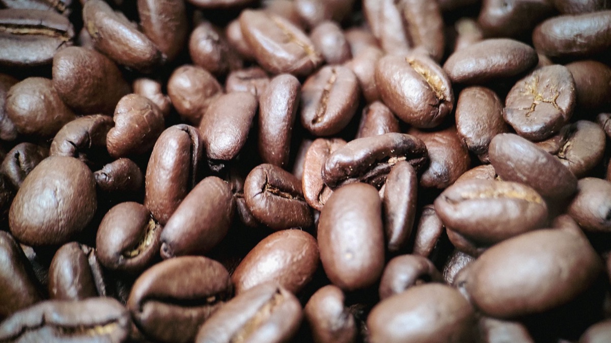 Vers gebrande specialty koffiebonen
