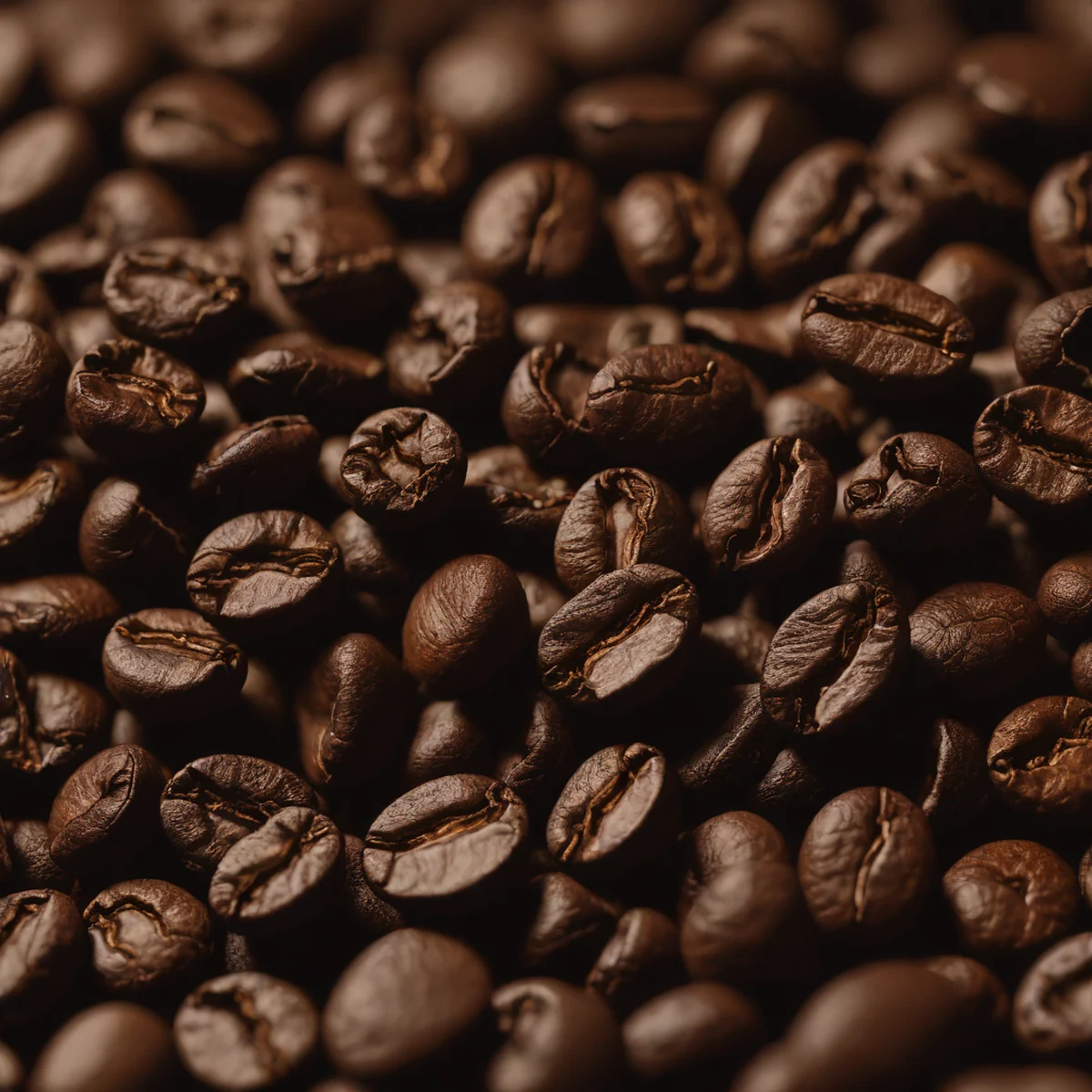 How do the taste profiles differ between different roasting stages?